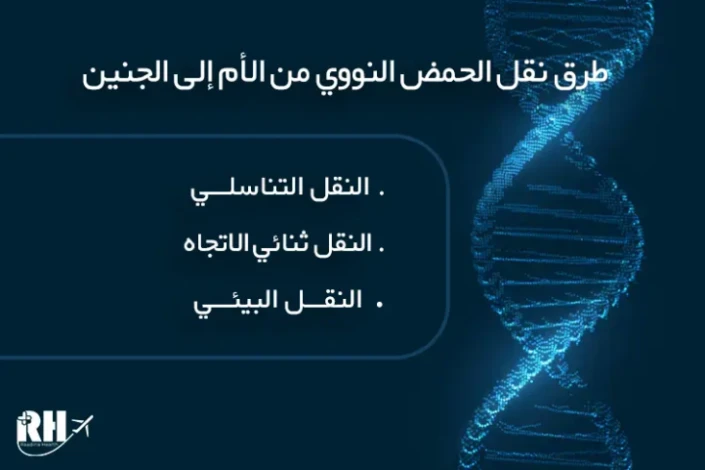 طرق انتقال الـ DNA من الأم إلى الجنين