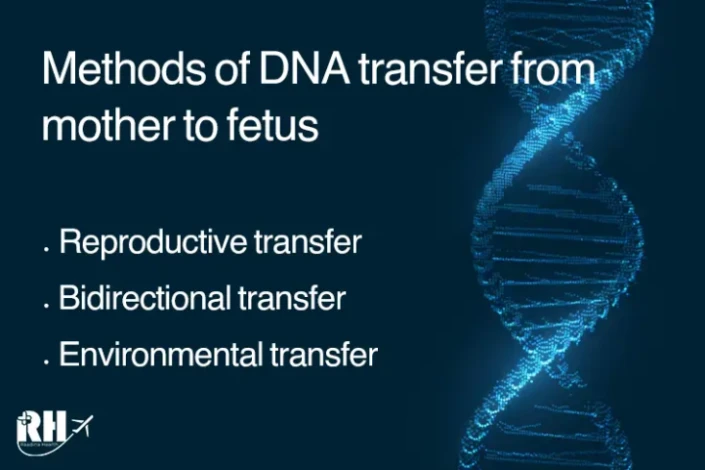 How DNA is Transferred to the Baby in Surrogacy?