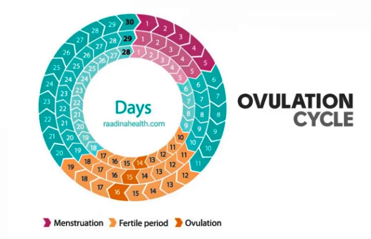 Oova - Learning when YOUR fertile window occurs is so important