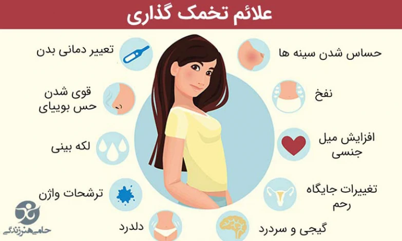 علائم لحظه آزاد شدن تخمک علائم لحظه آزاد شدن تخمک