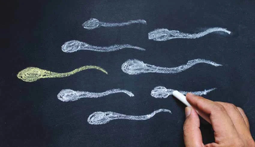 Semen Analysis