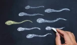 Semen Analysis