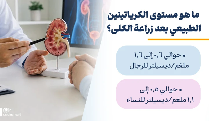 معدل الكرياتين بعد عملية زراعة الكلية