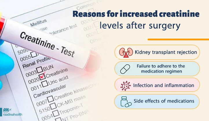 Reasons for Increased Creatinine After Surgery