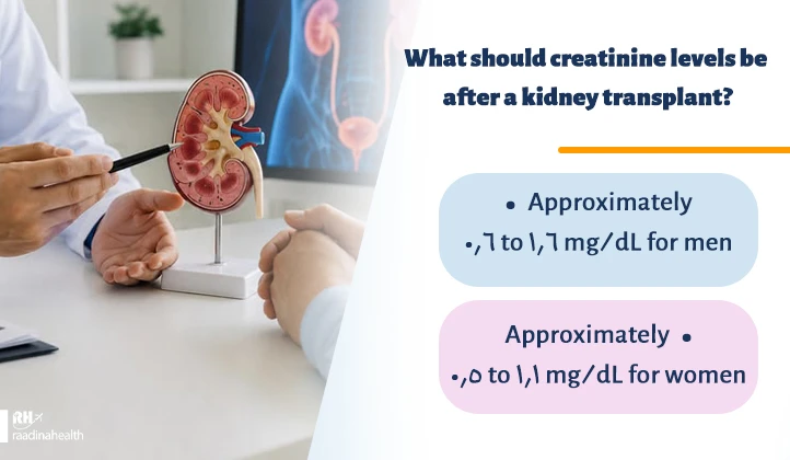 What Should Creatinine Levels Be After Kidney Transplant Surgery?