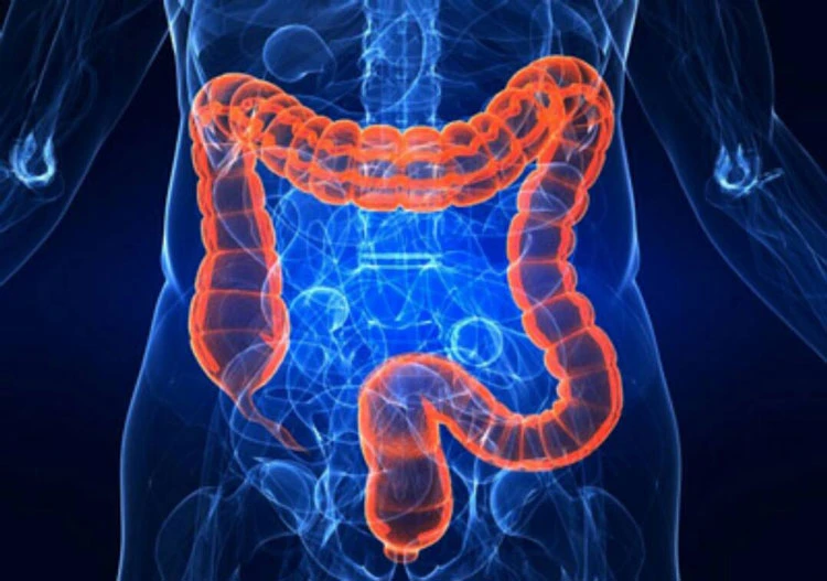 درمان یبوست با داروهای گیاهی درمان یبوست با داروهای گیاهی