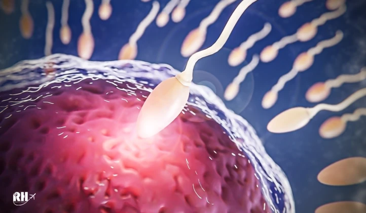 تخمک تازه یا فریز شده؟ کدام بهتر است.