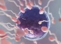 Non-obstructive Azoospermia Treatment Non-obstructive Azoospermia Treatment