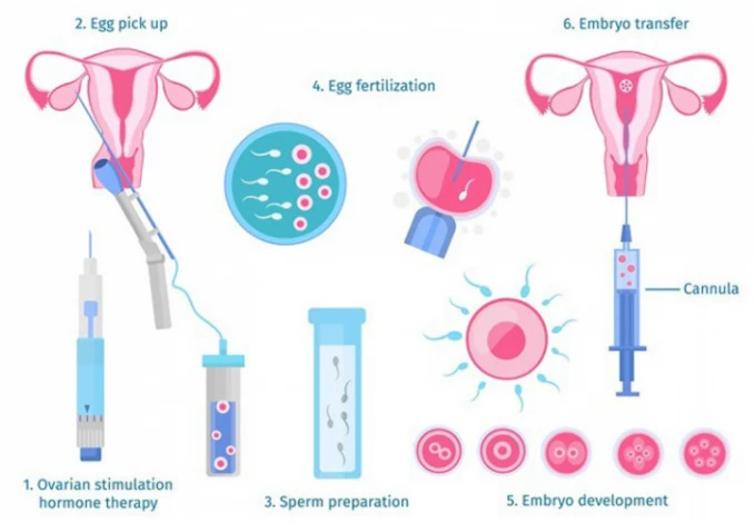 DIFFERENCES BETWEEN EGG DONATION AND EMBRYO DONATION 1: Rocky Mountain ...