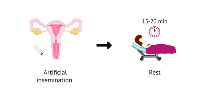 Insemination Pregnant Before After