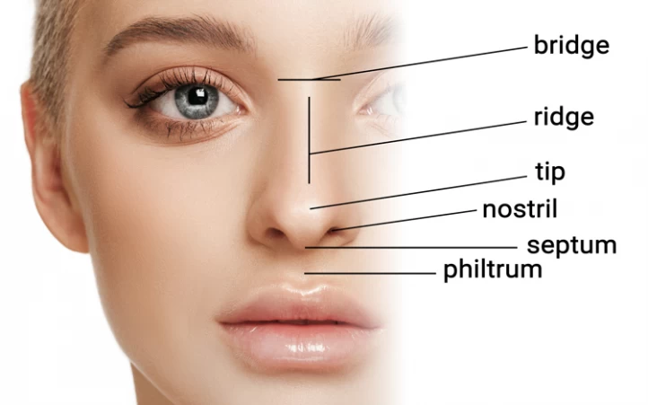 human nose shapes types