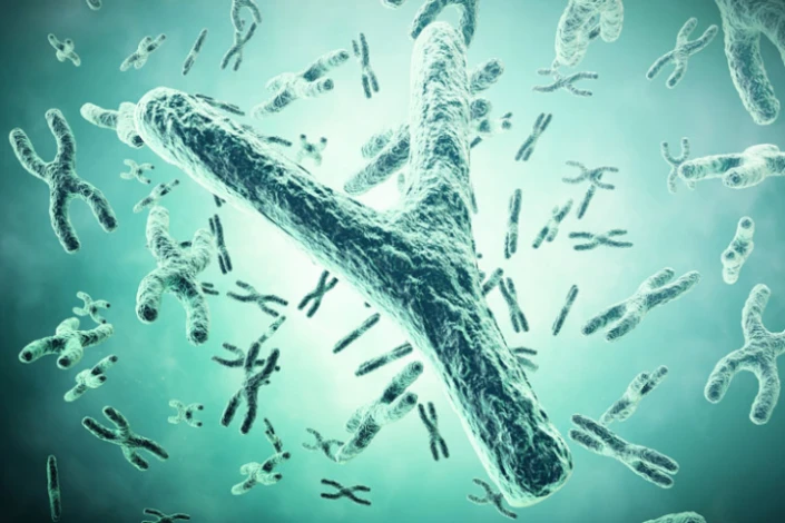 The best candidates for testicular biopsy are those who have very few sperm in their semen The best candidates for testicular biopsy are those who have very few sperm in their semen