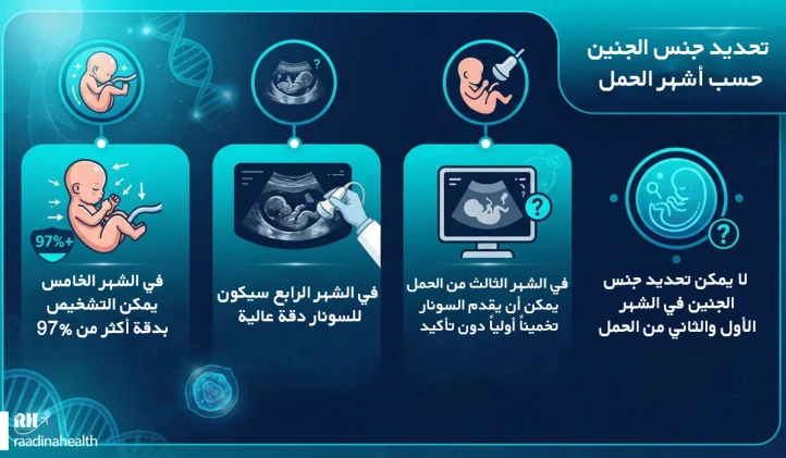تحديد جنس الجنين بناءً على أشهر الحمل