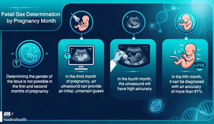 Determining the sex of the fetus based on the months of pregnancy