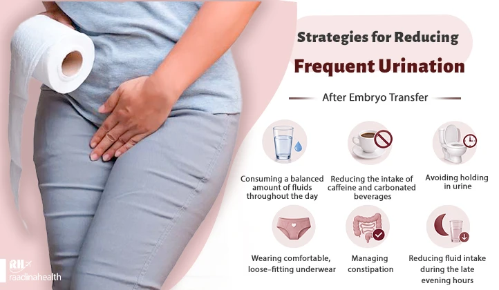 Strategies to reduce frequent urination after embryo transfer