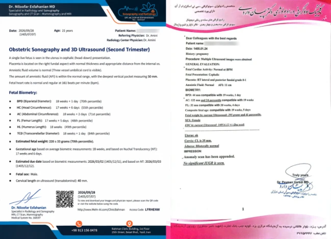 Ultrasound report for a baby girl or boy