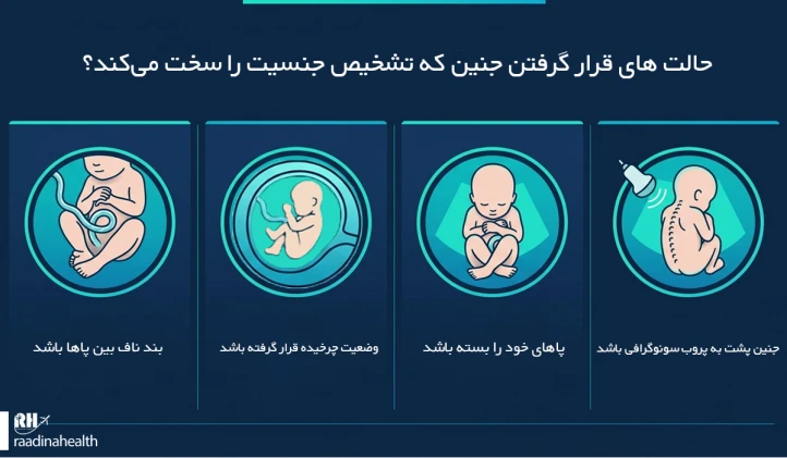 حالت های قرار گرفتن جنین که تشخیص جنسیت را سخت می‌کند؟