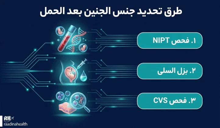 طرق تحديد جنس الجنين بعد الحمل