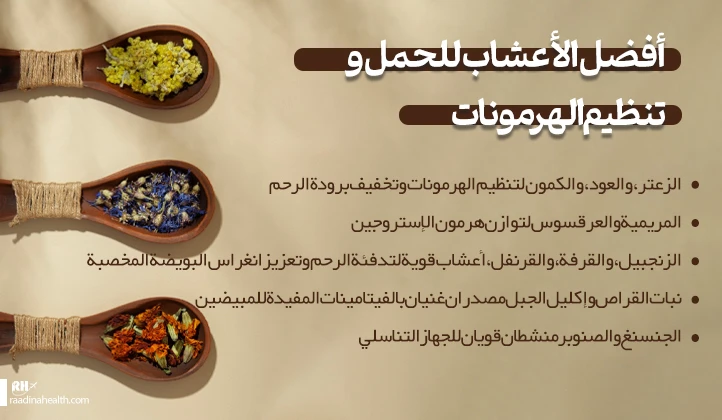 أفضل الأعشاب الطبية للحمل وتنظيم الهرمونات