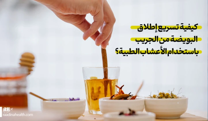 تسريع إطلاق البويضة من الجريب باستخدام الأعشاب الطبية