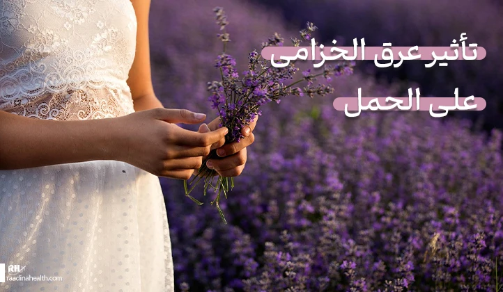 تأثير عرق الخزامى على الحمل