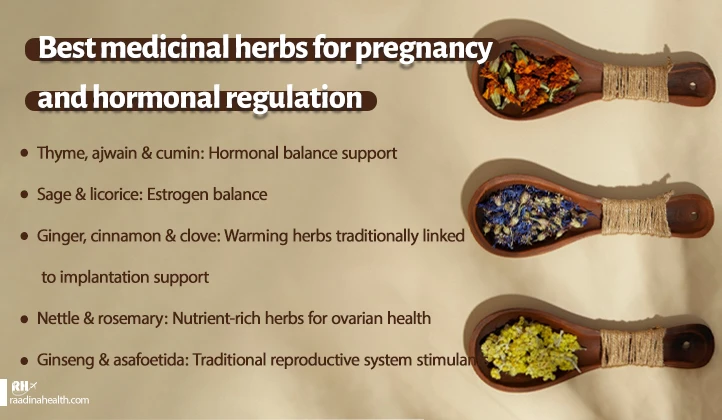 Best medicinal herbs for pregnancy and hormonal balance