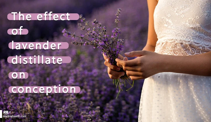 The effect of lavender distillate on conception
