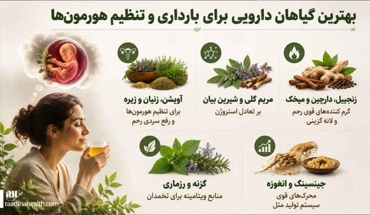 بهترین گیاهان دارویی برای بارداری و تنظیم هورمون‎ها