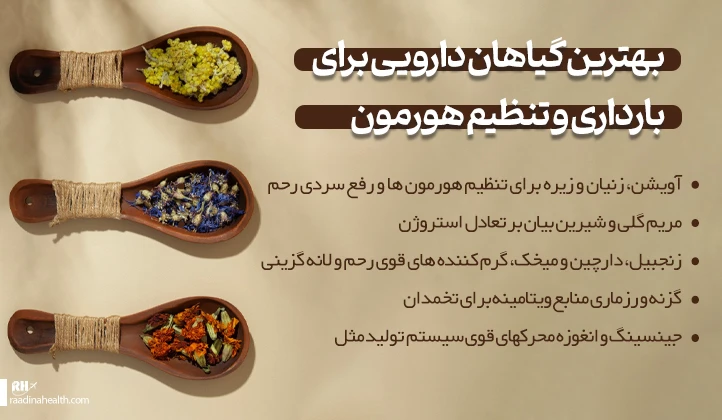 بهترین گیاهان دارویی برای بارداری و تنظیم هورمون ها