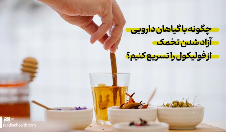 تسریع آزاد شدن تخمک از فولیکول با گیاهان دارویی