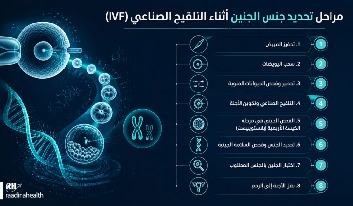مراحل تحديد الجنس طوال عملية IVF