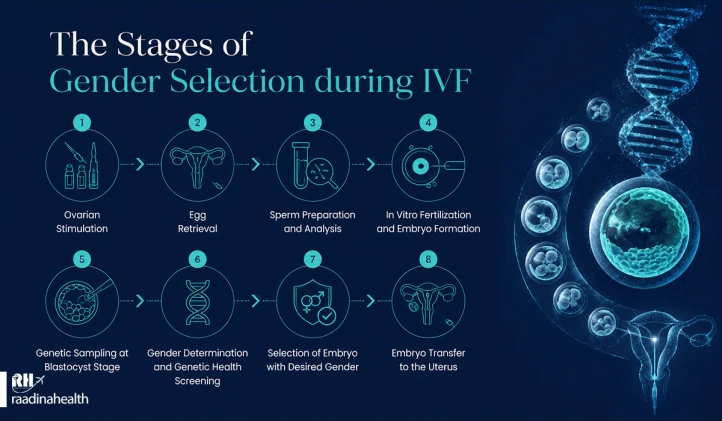 Process of Gender Selection During IVF