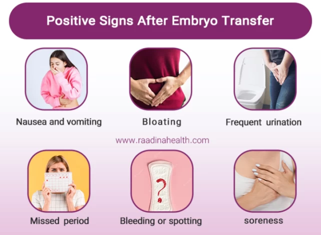 Positive Signs after Embryo Transfer