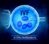 How to Increase Your Chances of IVF Success
