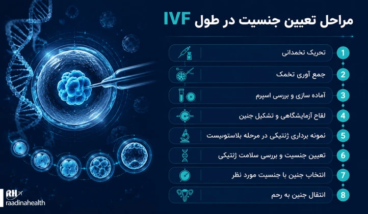 مراحل تعیین جنسیت در طول IVF مراحل تعیین جنسیت در طول IVF