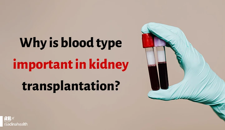 Why is blood type important in kidney transplantation?