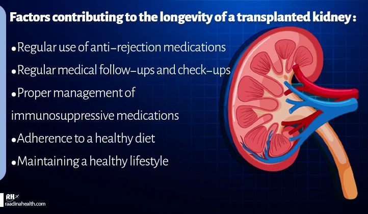 Factors influencing the longevity of a transplanted kidney