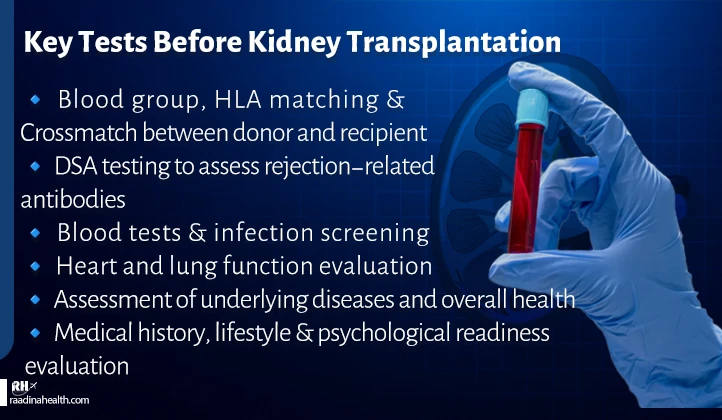 Key pre-transplant tests for kidney transplantation