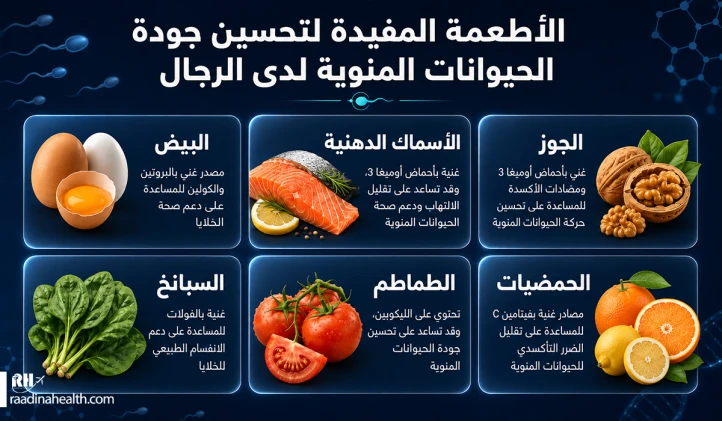 أطعمة مفيدة لتحسين جودة الحيوانات المنوية عند الرجال
