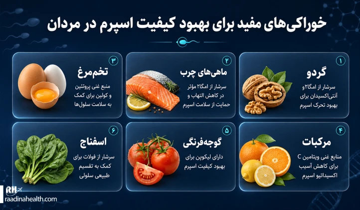 خوراکی ‎های مفید برای بهبود کیفیت اسپرم در مردان