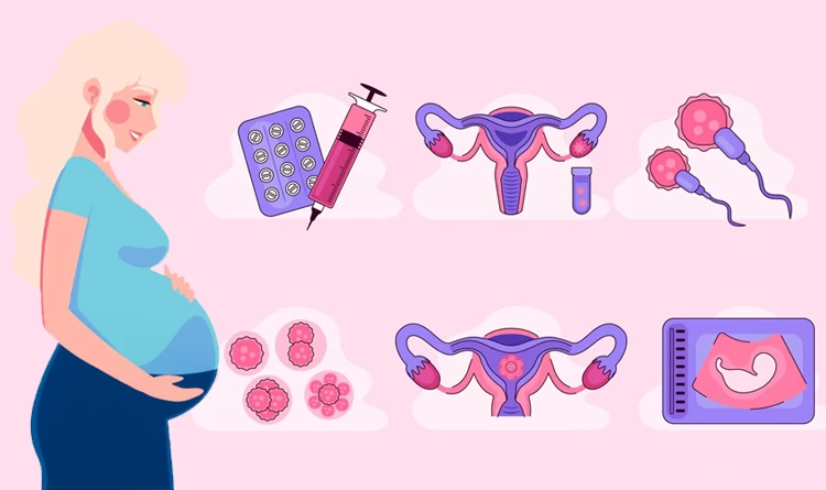فریز تخمک بهتر است یا فریز جنین/ عکس جنین فریز شده سه روزه