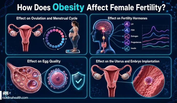 How does obesity affect female fertility?