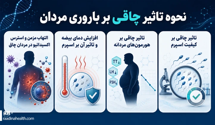 نحوه تاثیر چاقی بر باروری مردان