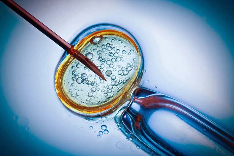 Gender selection is possible by using the IVF method.