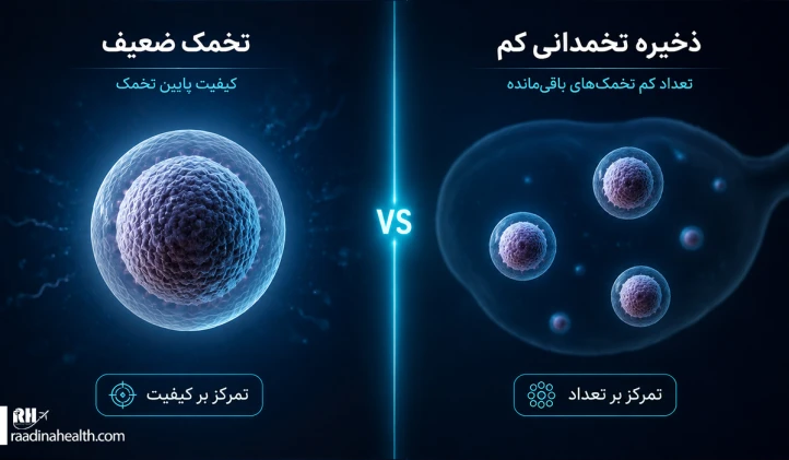 تفاوت تخمک ضعیف با ذخیره تخمدانی کم