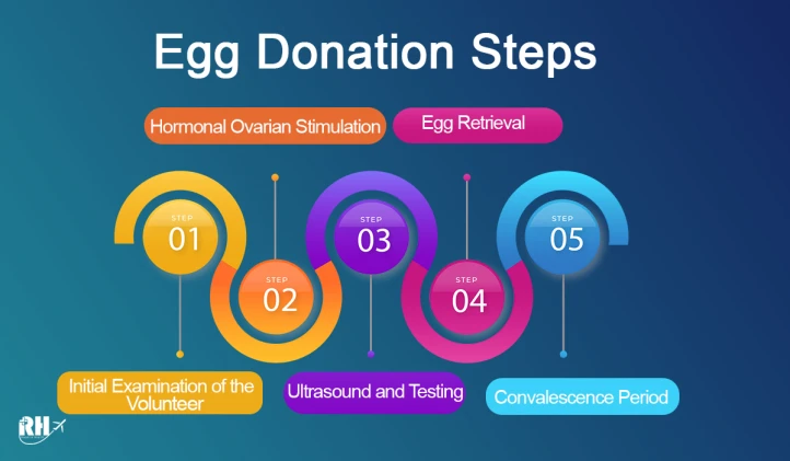 Steps of Egg Donation