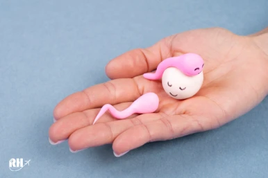 Requirements for egg donors; who can donate?