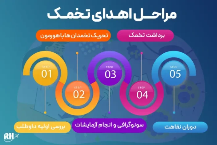 مراحل اهدای تخمک مراحل اهدای تخمک