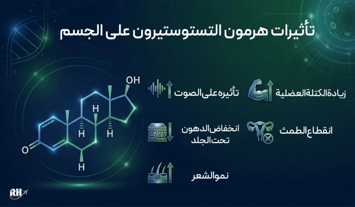 التيستوستيرون وأثره على الجسم