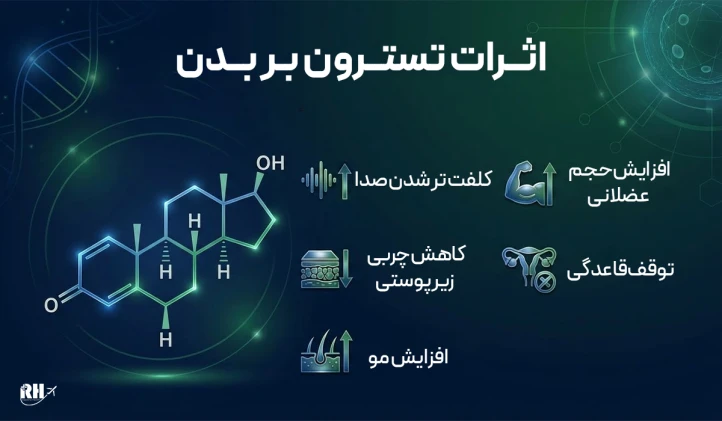 اثرات تستسترون بر بدن